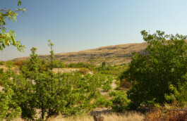 Image by Author. (2024)