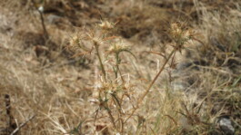 Image by Author. (2024)