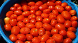 Image by Author. (2024)