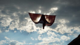 Image by Author. (2024)