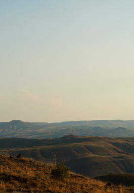 Image by Author. (2024)