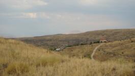 Image by Author. (2024)